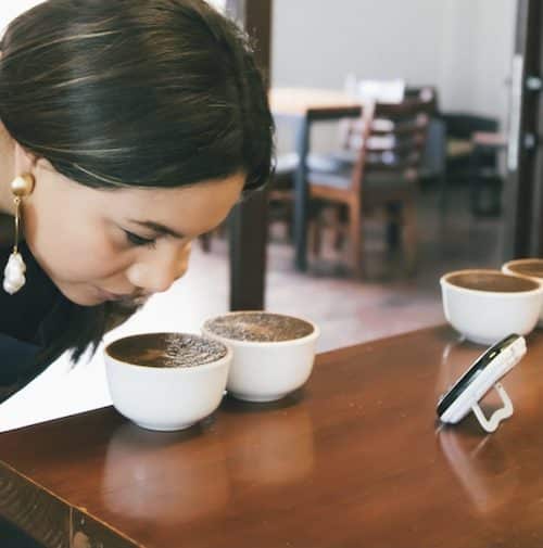 Spirit Animal Coffee Review