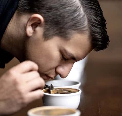 Spirit Animal Coffee Review