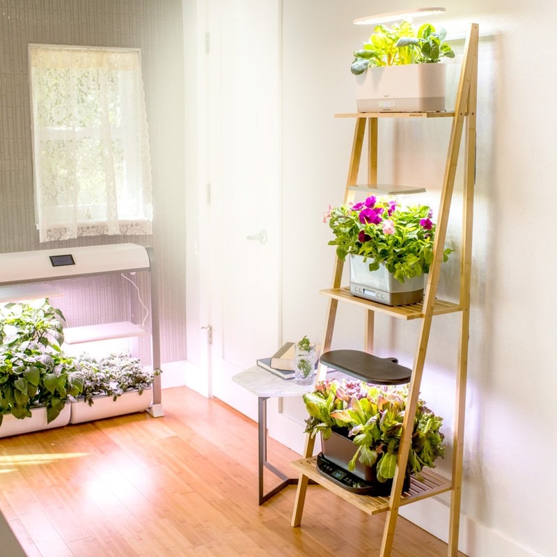AeroGarden Review