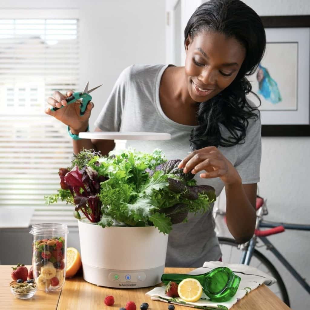 AeroGarden Review