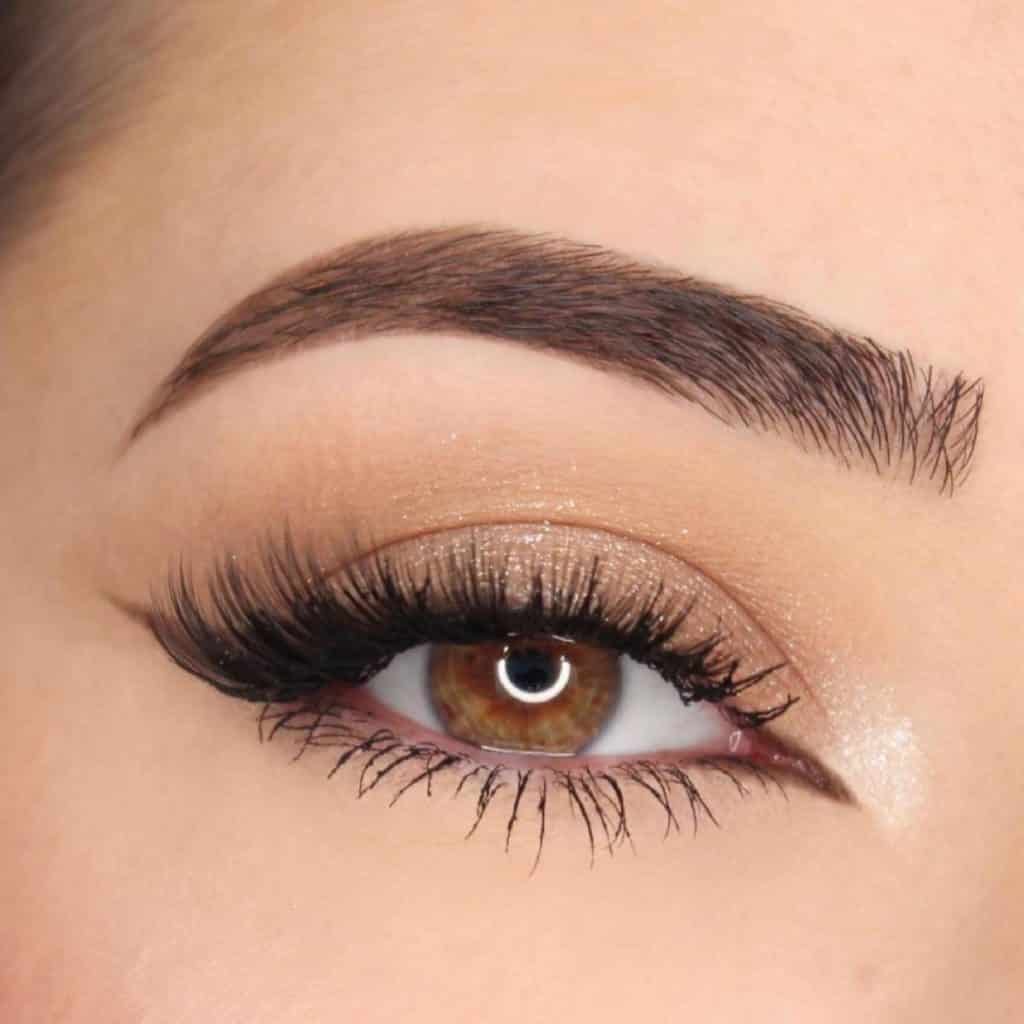 Ardell Lashes Review