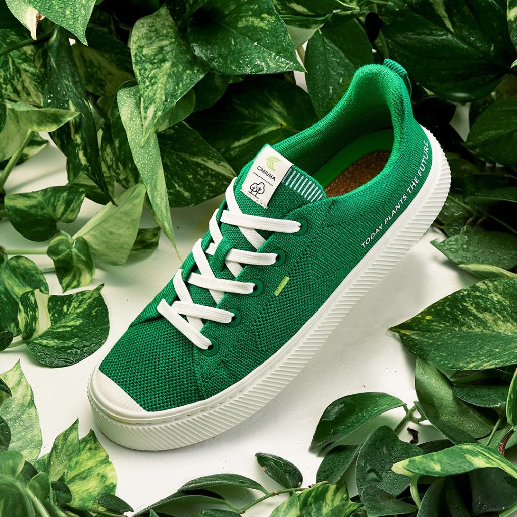 Cariuma Vs Allbirds Review