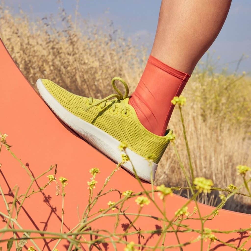 Cariuma Vs Allbirds Review