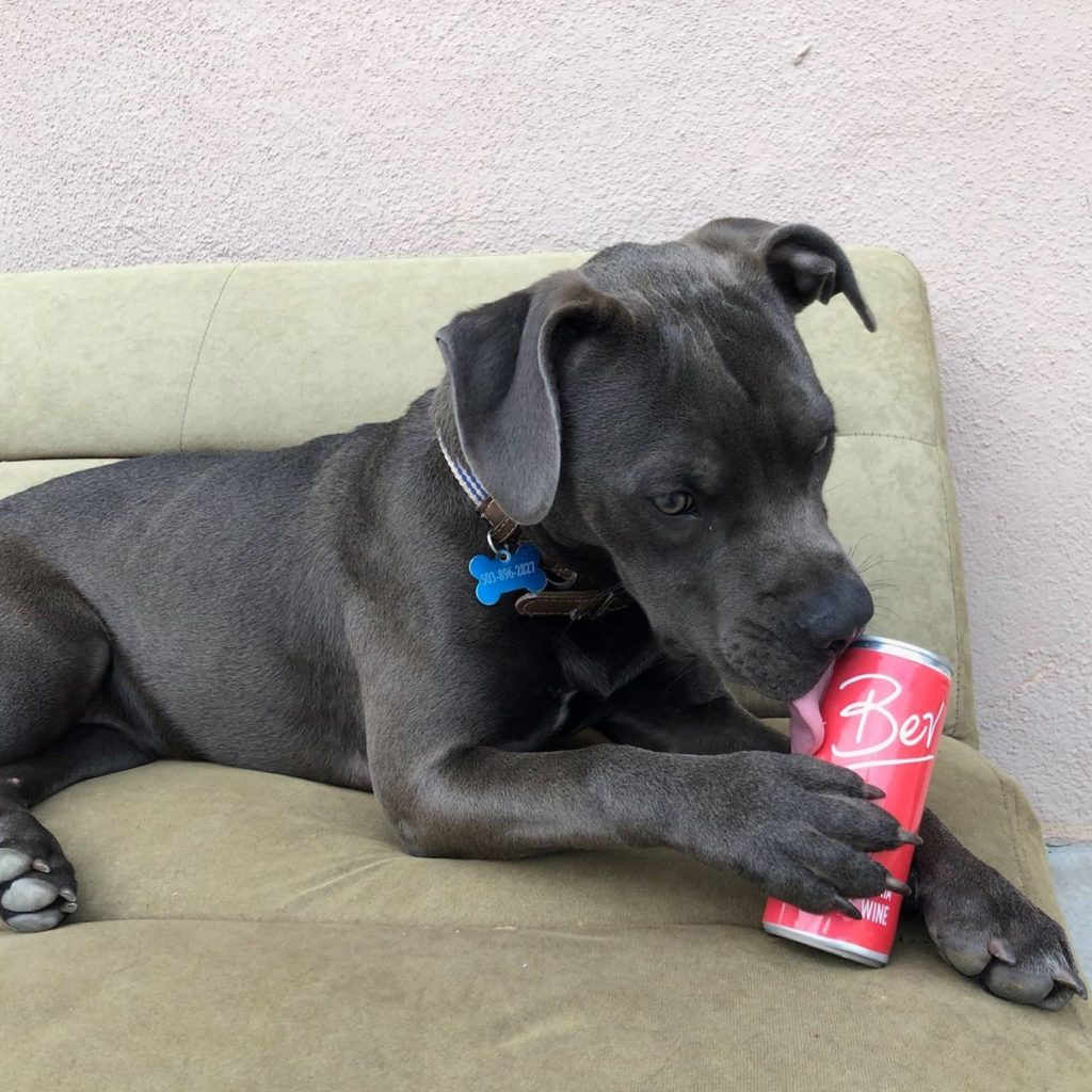 Bev Wine Review