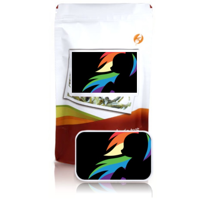 Adagio Rainbow Dash Review