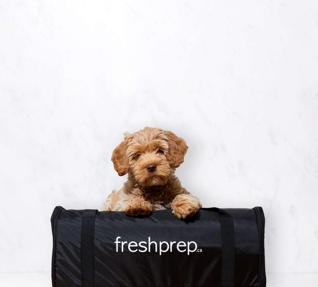 Fresh Prep Review