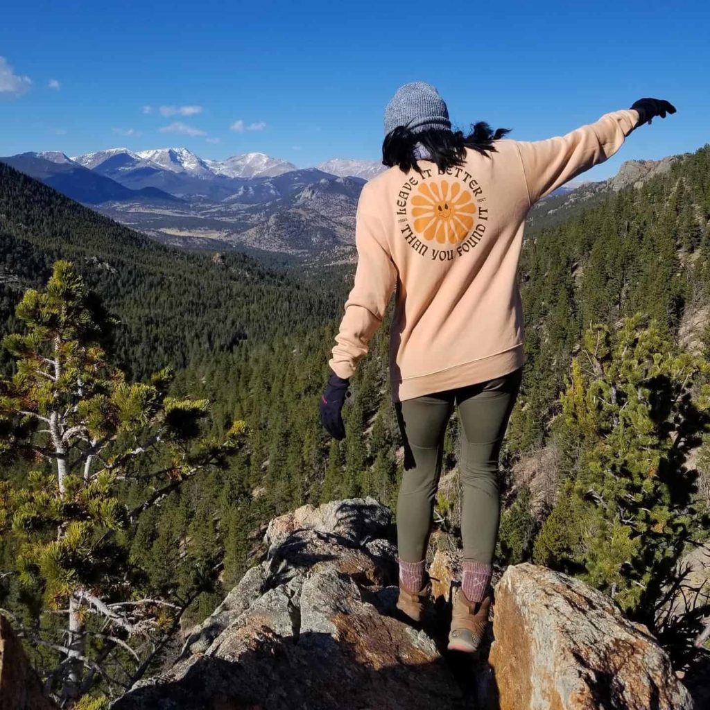 Parks Project Review