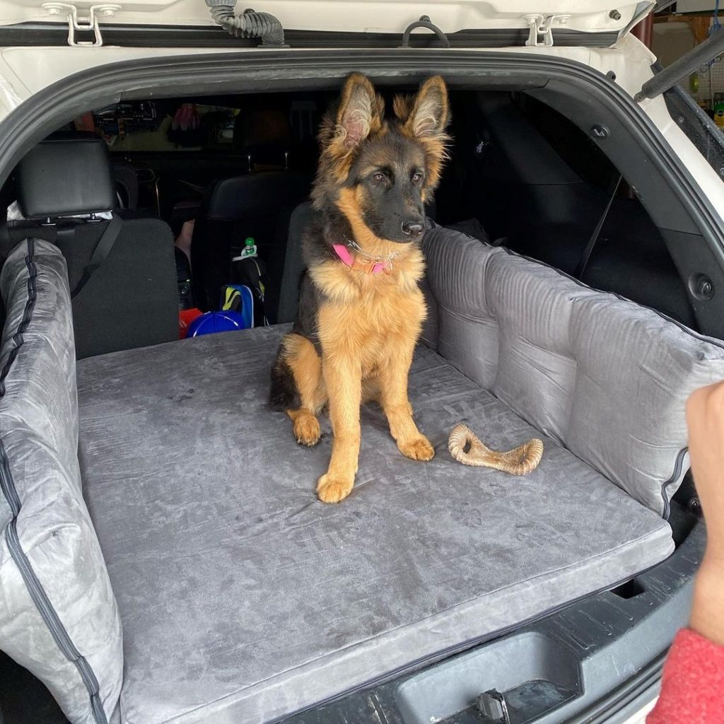 Big Barker Dog Bed Review