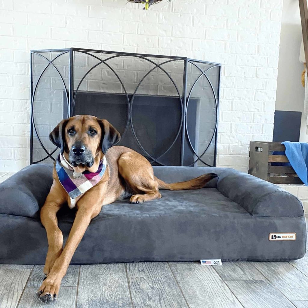 Big Barker Dog Bed Review