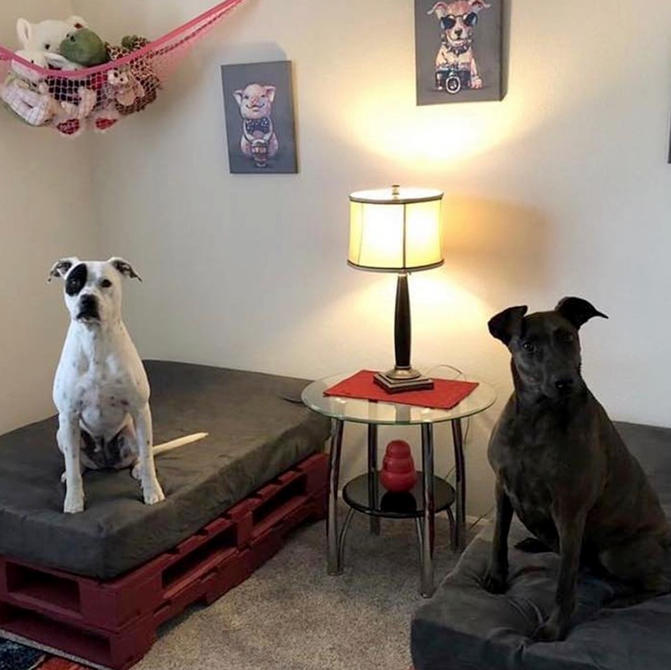 Big Barker Dog Bed Review