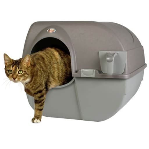 Best Self Cleaning Litter Boxes for Cat Owners in 2023