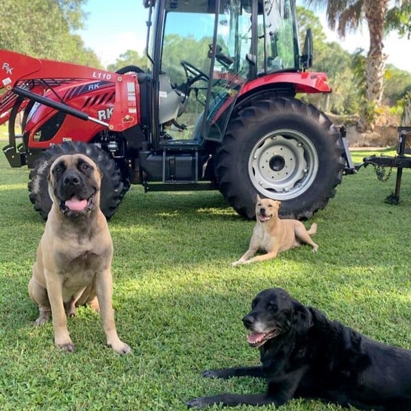 7 Stores Like Tractor Supply for Farming and Outdoor Needs 2 Rural King
